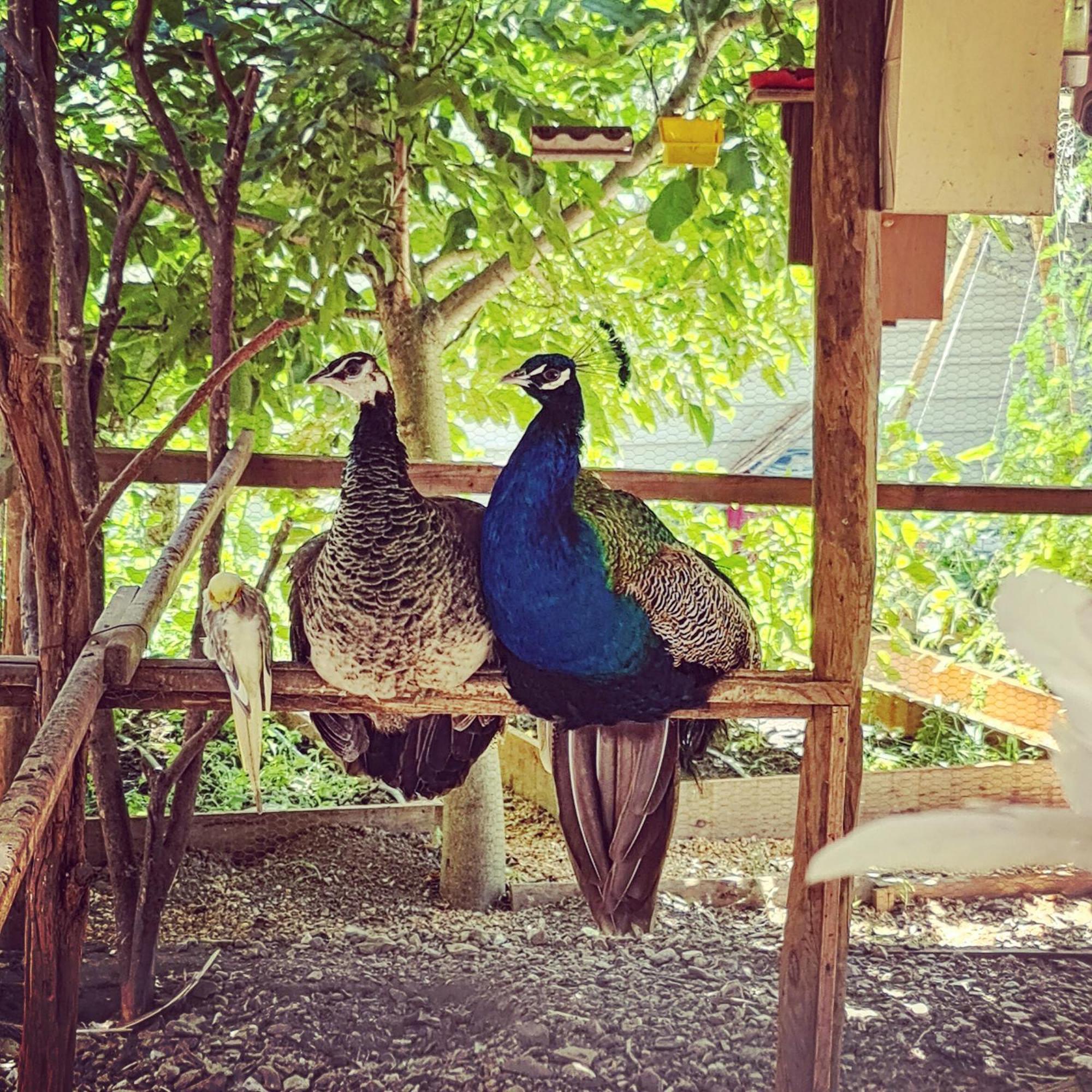 Casa vacanze Behappy Ferreira do Zêzere